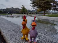 /home//u458753944/public_html/sourcegallery//other/uk 2023/london/IMG_20230917_184445539_HDR.jpg